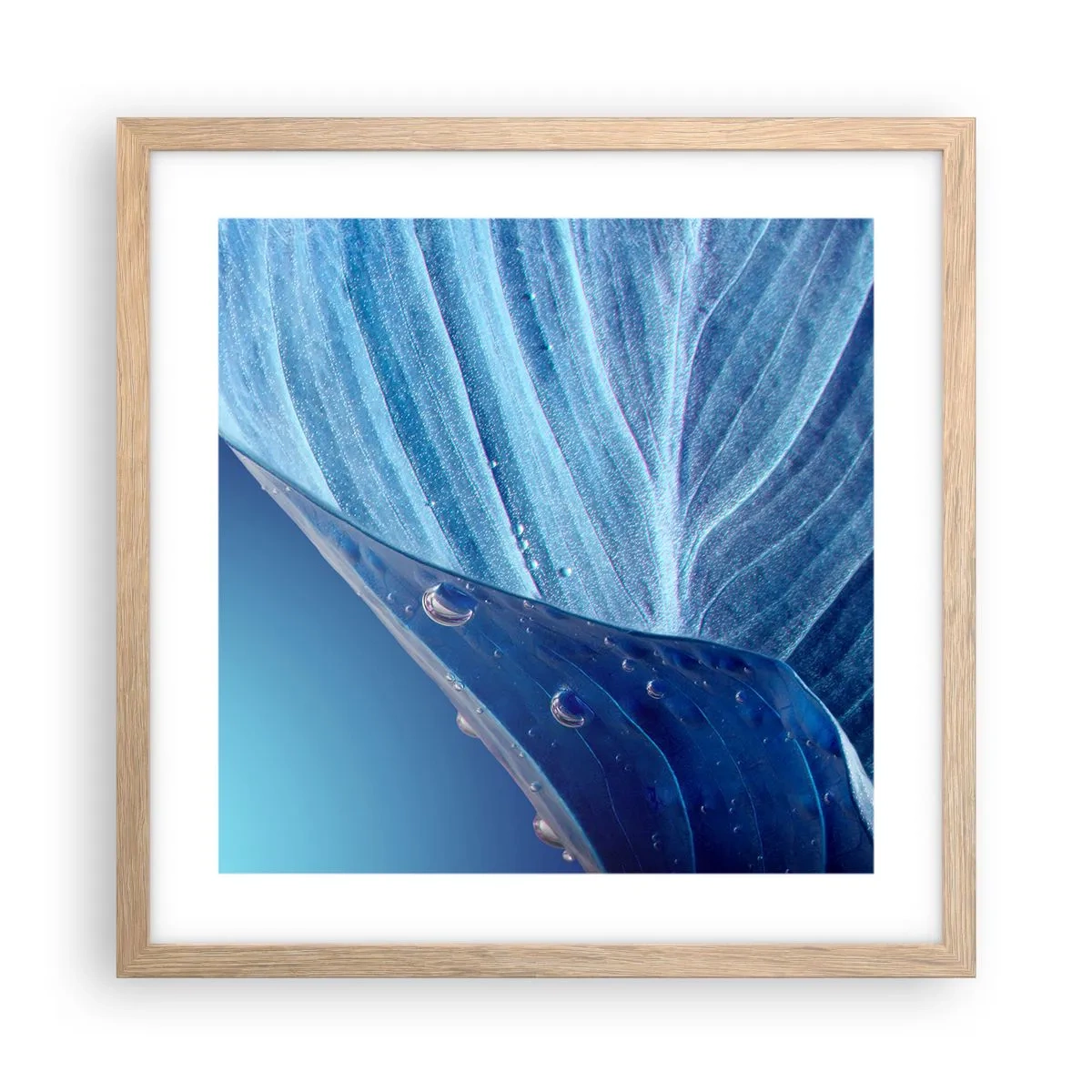 Poster in einem Rahmen aus heller Eiche - Versteckte Tropfen vom Blau - 40x40 cm