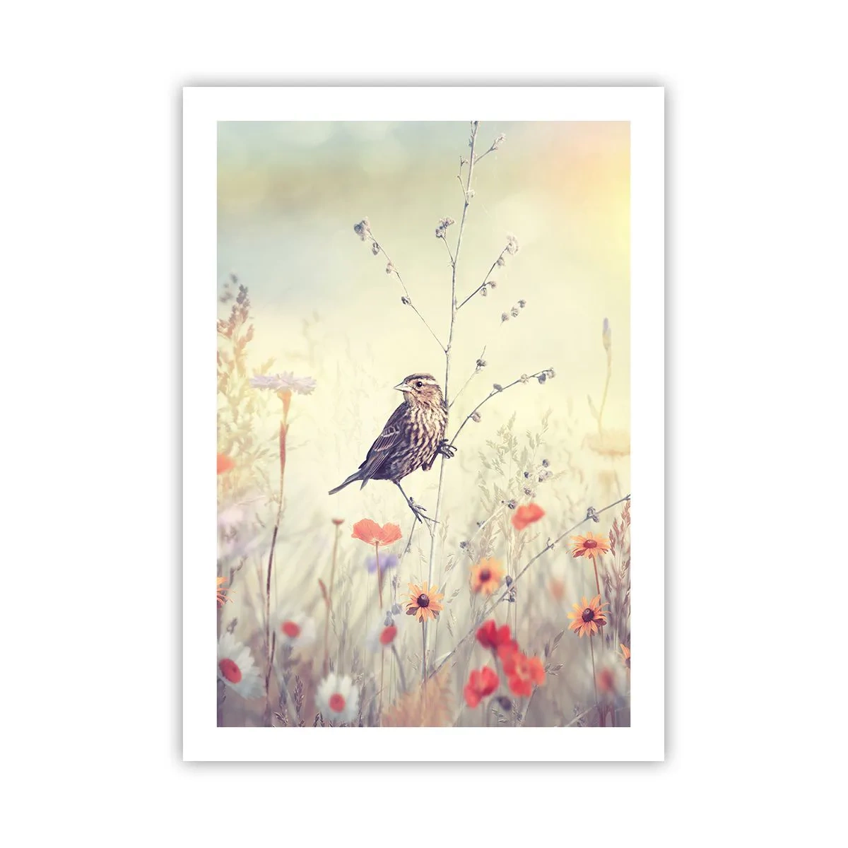 Poster - Ein Vogel auf einer Wiese in zarten Pastellfarben - 50x70cm - Vogelporträt mit einer Wiese im Hintergrund - Moderne Wanddekoration für Wohnzimmer und Schlafzimmer ARTTOR