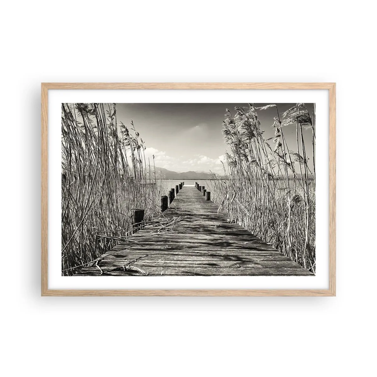 Poster in einem Rahmen aus heller Eiche - In der Stille des Grases - 70x50 cm