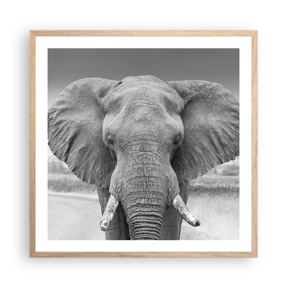 Poster in einem Rahmen aus heller Eiche - Willkommen in meiner Welt - 60x60 cm