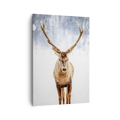 Bild auf Leinwand - Leinwandbild - Direkt aus dem Schneenebel - 70x100 cm