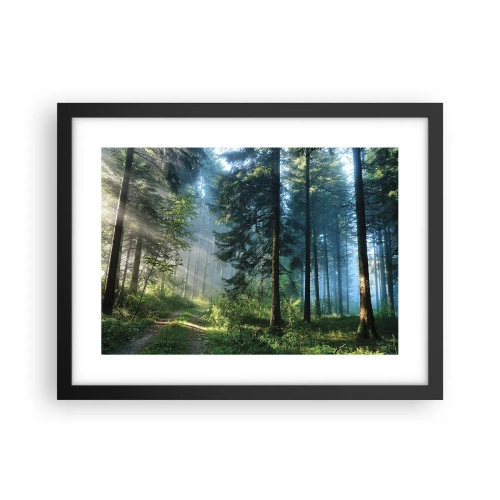 Poster in einem schwarzem Rahmen - Strahlend am Morgen - 40x30 cm