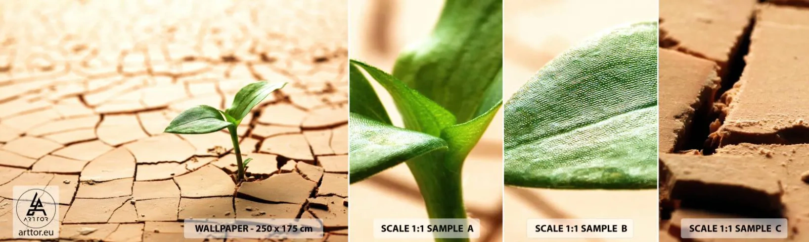 Fototapetenmuster Standard Eco - Die unbezähmbare Kraft des Lebens - Natur, Anlage, Trockenheit - 100x30 cm