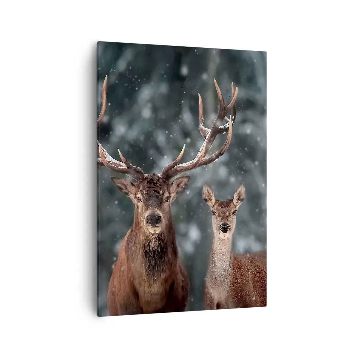 Bild auf Leinwand - Leinwandbild - Hirsche im verschneiten Winterwald - 70x100cm - Herr des Waldes mit seiner Frau - Moderne Wanddekoration für Wohnzimmer und Schlafzimmer ARTTOR