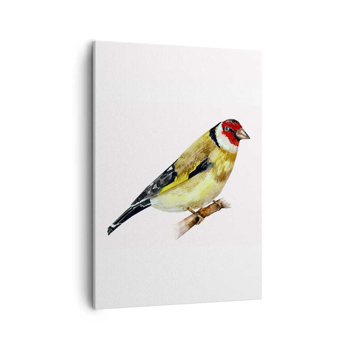 Bild auf Leinwand - Leinwandbild - Ein Vogel mit rotem Kopf auf einem Ast - 50x70cm - Vogelporträt - Moderne Wanddekoration für Wohnzimmer und Schlafzimmer ARTTOR