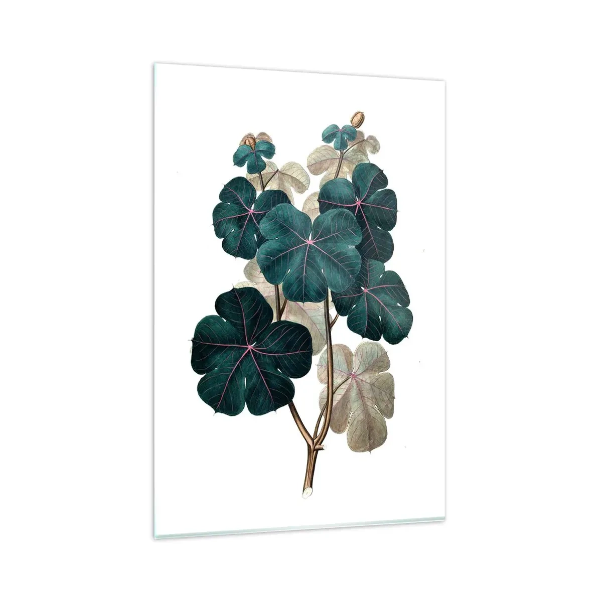 Glasbild - Bild auf glas - Botanische Illustration mit Blättern in Grün- und Beigetönen - 80x120cm - Aus dem alten Herbarium - Moderne Wanddekoration für Wohnzimmer und Schlafzimmer ARTTOR