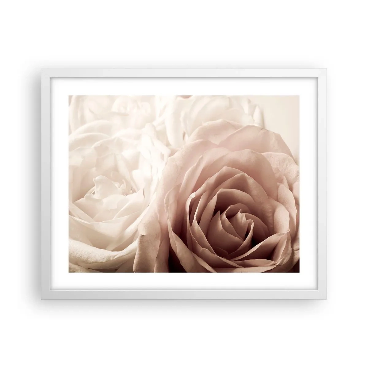 Poster in einem weißen Rahmen - Im Herzen der Rose - 50x40 cm