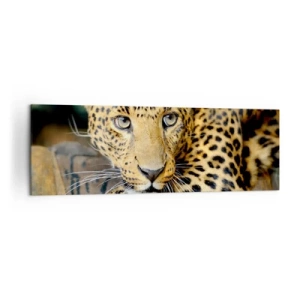 Bild auf Leinwand - Leinwandbild - Porträt eines Leoparden in seiner natürlichen Umgebung - 160x50cm - Keine Angst, komm mal her - Moderne Wanddekoration für Wohnzimmer und Schlafzimmer ARTTOR