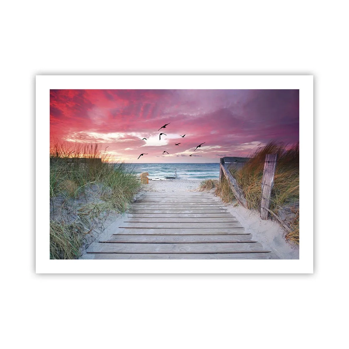 Poster - Baltischer Eindruck - 70x50 cm