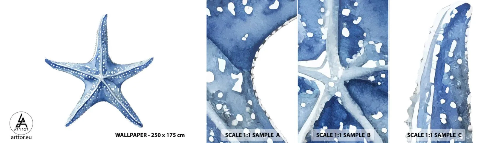 Fototapetenmuster Standard Eco - Stern des Meeres - Seestern, Strand, Korallenriff - 100x30 cm