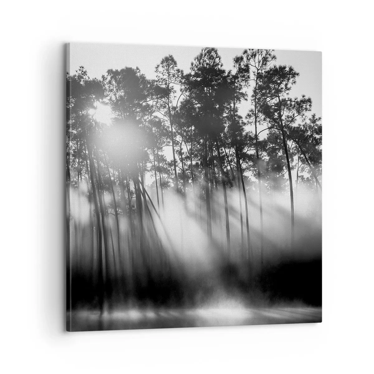 Bild auf Leinwand - Leinwandbild - Unaufhaltsame Sonne - 60x60 cm