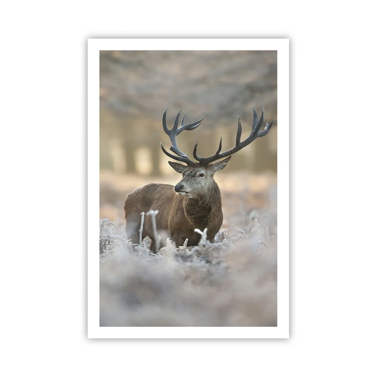 Poster - Ein flotter Morgen - 61x91 cm