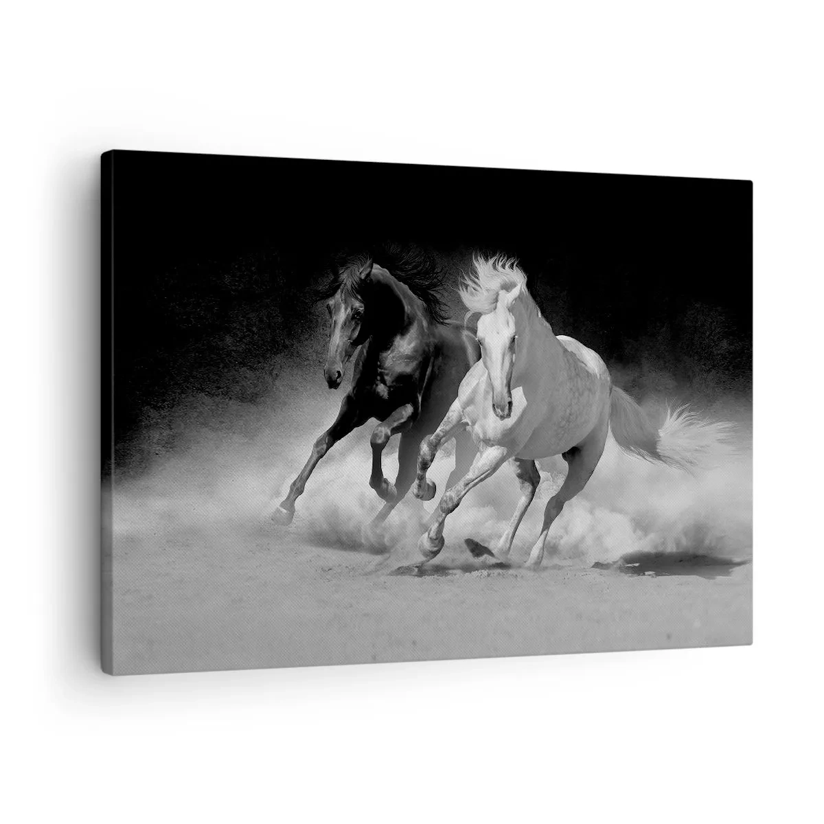 Bild auf Leinwand - Leinwandbild - Laufende Pferde in Schwarz und Weiß - 70x50cm - Galopp der Freiheit - Moderne Wanddekoration für Wohnzimmer und Schlafzimmer ARTTOR