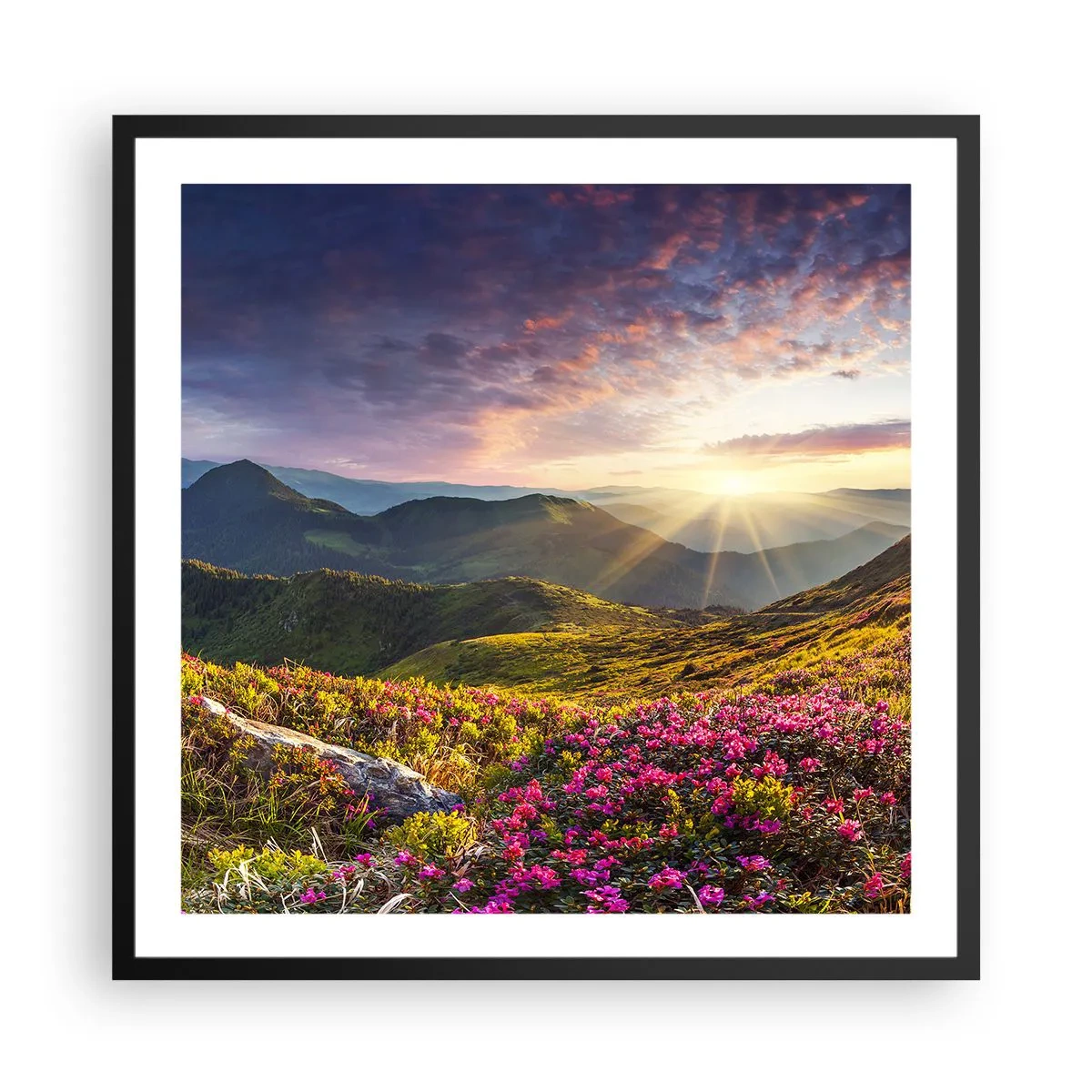 Poster in einem schwarzem Rahmen - Frische am Bergmorgen - 60x60 cm