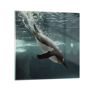 Glasbild - Bild auf glas - Willkommen in meiner Welt - 70x70 cm