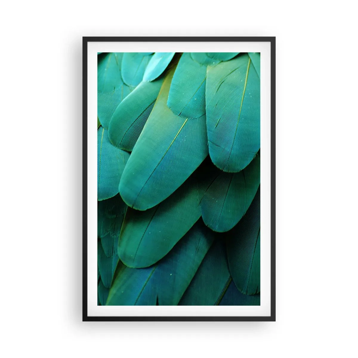 Poster in einem schwarzem Rahmen - Papageienartige Präzision - 61x91 cm