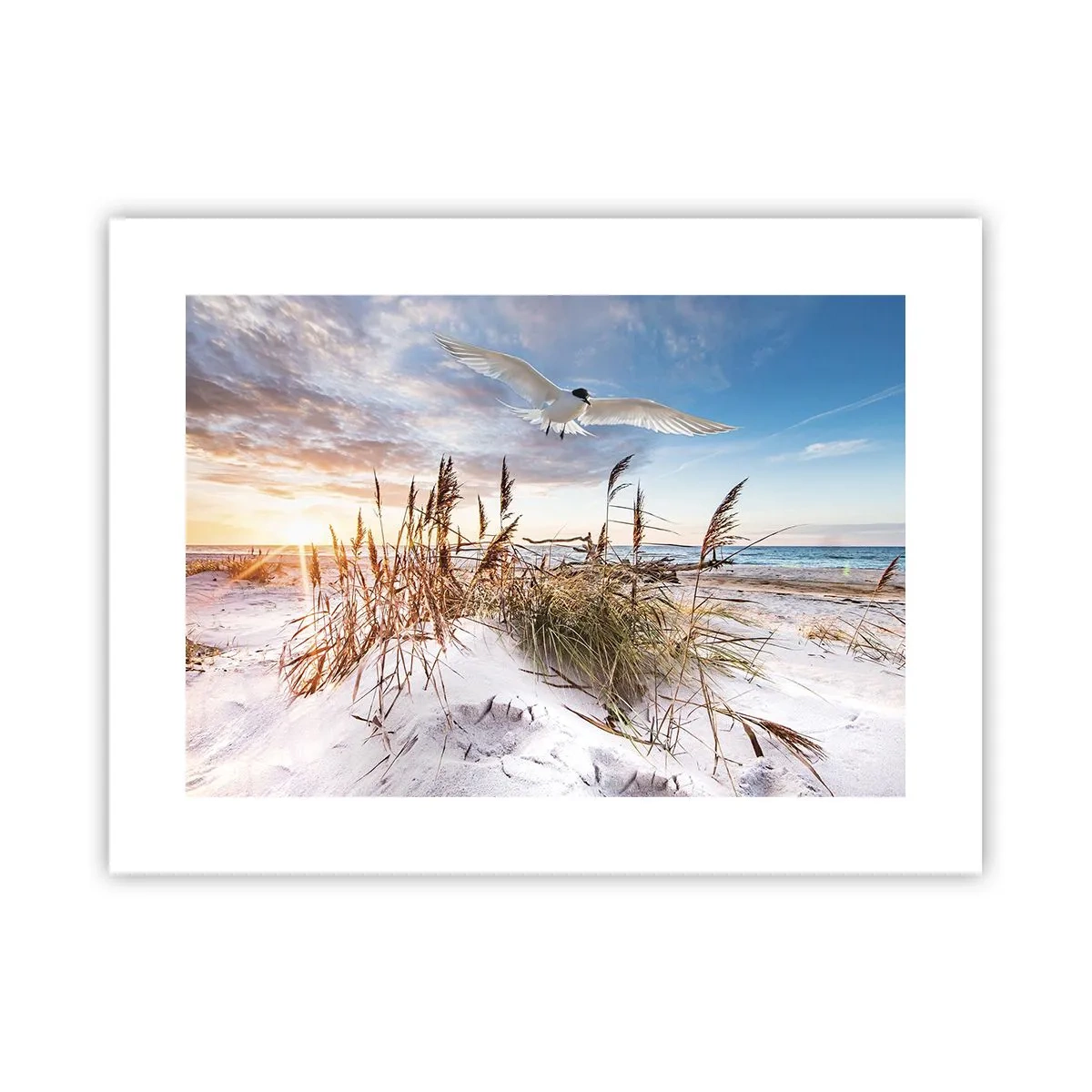 Poster - Wind vom Meer - 40x30 cm