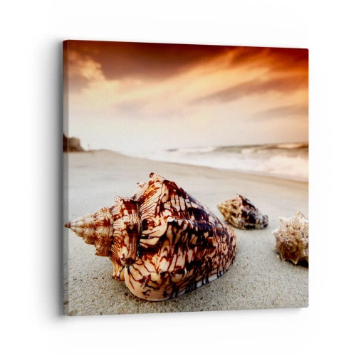 Bild auf Leinwand - Leinwandbild - Ausgestoßene von Wellen - 30x30 cm