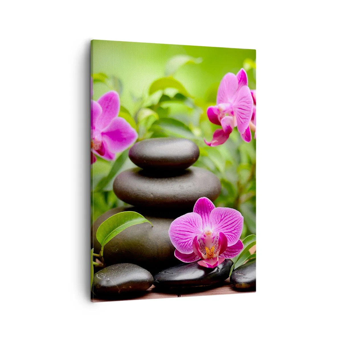 Bild auf Leinwand - Leinwandbild - Rosa Orchideen mit Steinen auf grünem Hintergrund - 50x70cm - Die Pyramide des Friedens - Moderne Wanddekoration für Wohnzimmer und Schlafzimmer ARTTOR