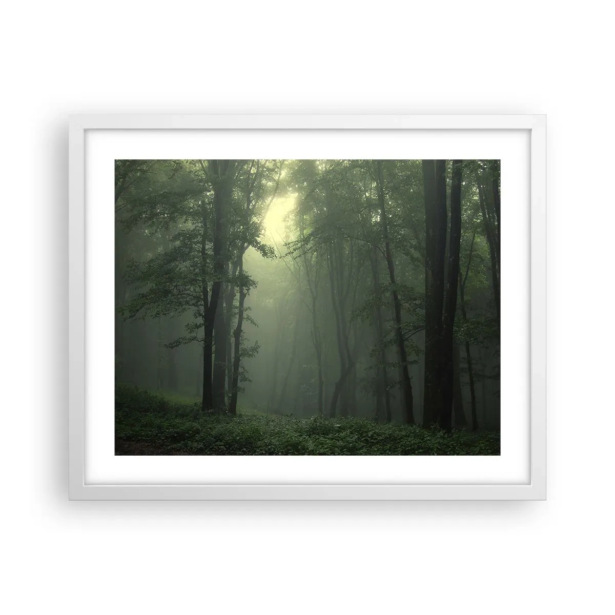 Poster in einem weißen Rahmen - Bevor er aufwacht - 50x40 cm