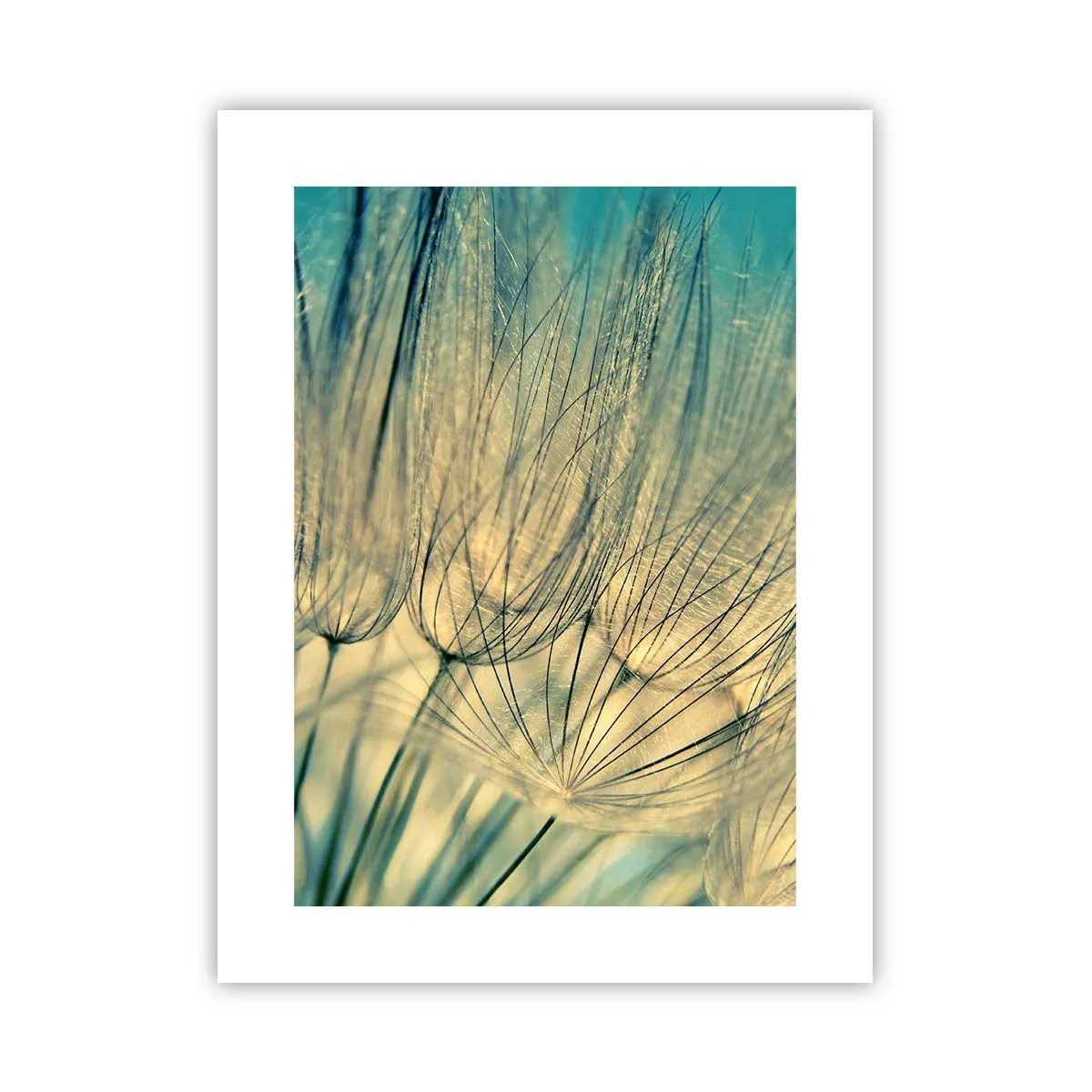 Poster - In Erwartung des Windes - 30x40 cm
