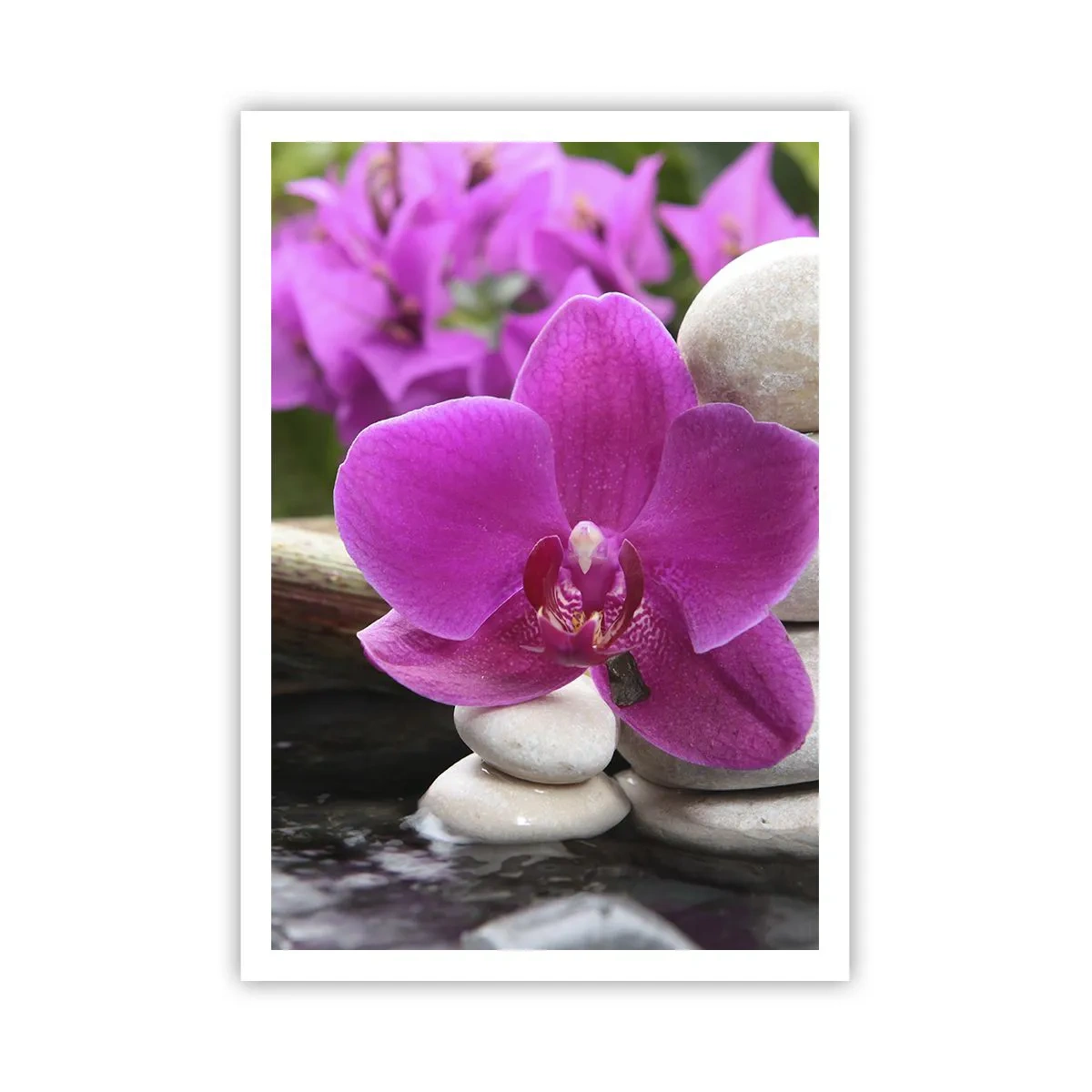 Poster - Du ruhst dich schon aus - 70x100 cm