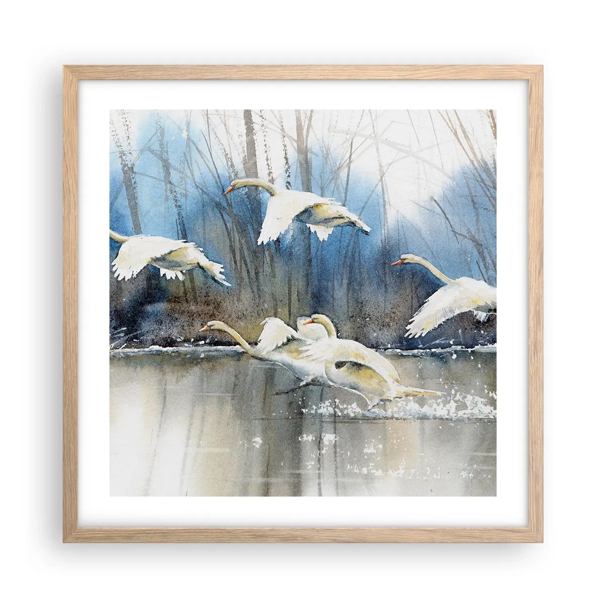 Poster in einem Rahmen aus heller Eiche - Wie im Märchen von den wilden Schwänen - 50x50 cm