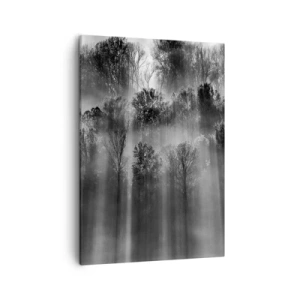 Bild auf Leinwand - Leinwandbild - Schwarz-weißer Wald im Morgenlicht - 50x70cm - In Lichtstrahlen - Moderne Wanddekoration für Wohnzimmer und Schlafzimmer ARTTOR