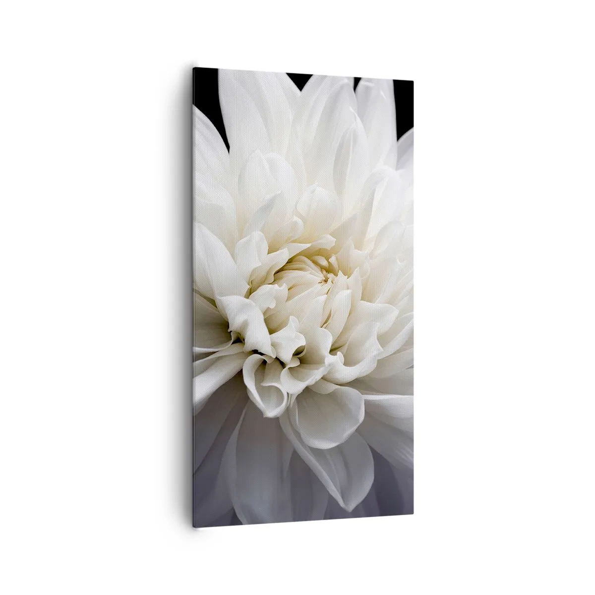 Bild auf Leinwand - Leinwandbild - Der Morgen der Braut - 65x120 cm