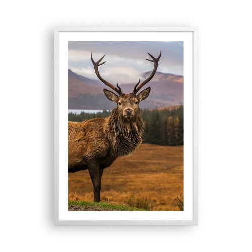 Poster in einem weißen Rahmen - Die Majestät der Natur - 50x70 cm