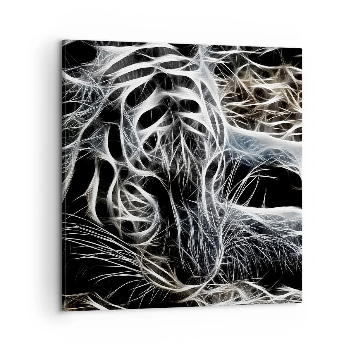 Bild auf Leinwand - Leinwandbild - Eine Studie über die Leichtigkeit der Katze - 50x50 cm
