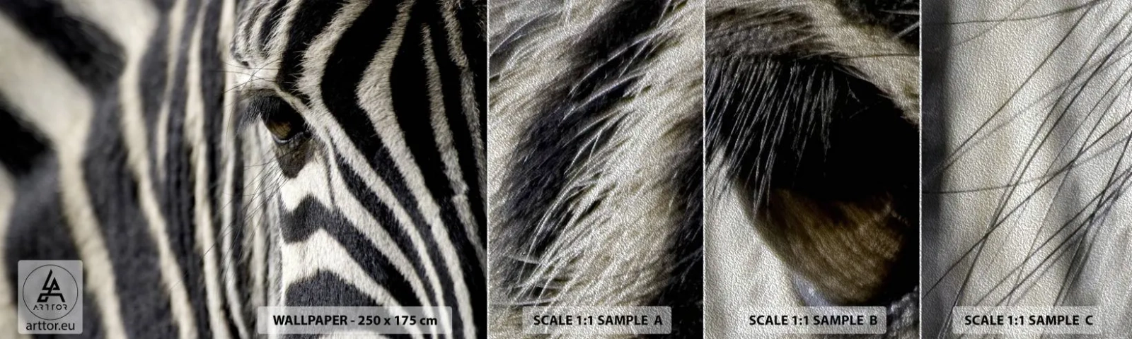 Fototapeten Muster Premium Sand - Gestreiftes Porträt - Tiere, Rippen, Afrika - 100x30 cm