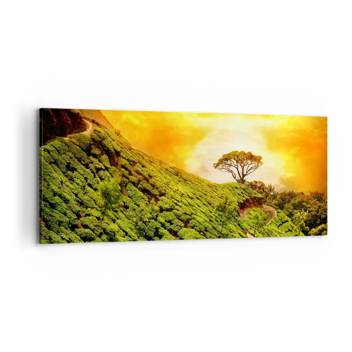 Bild auf Leinwand - Leinwandbild - Grüne Hügel mit Teeplantagen bei Sonnenuntergang - 120x50cm - Ein gewundener Weg, ein grüner Hang - Moderne Wanddekoration für Wohnzimmer und Schlafzimmer ARTTOR