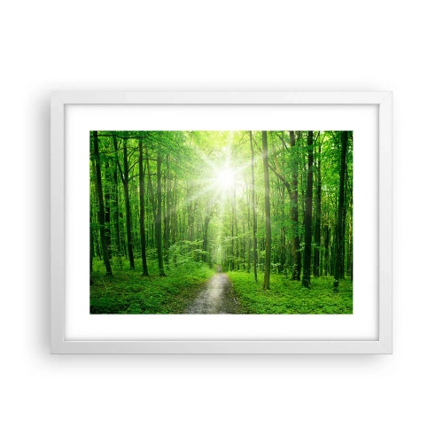 Poster in einem weißen Rahmen - Die grüne Kathedrale - 40x30 cm