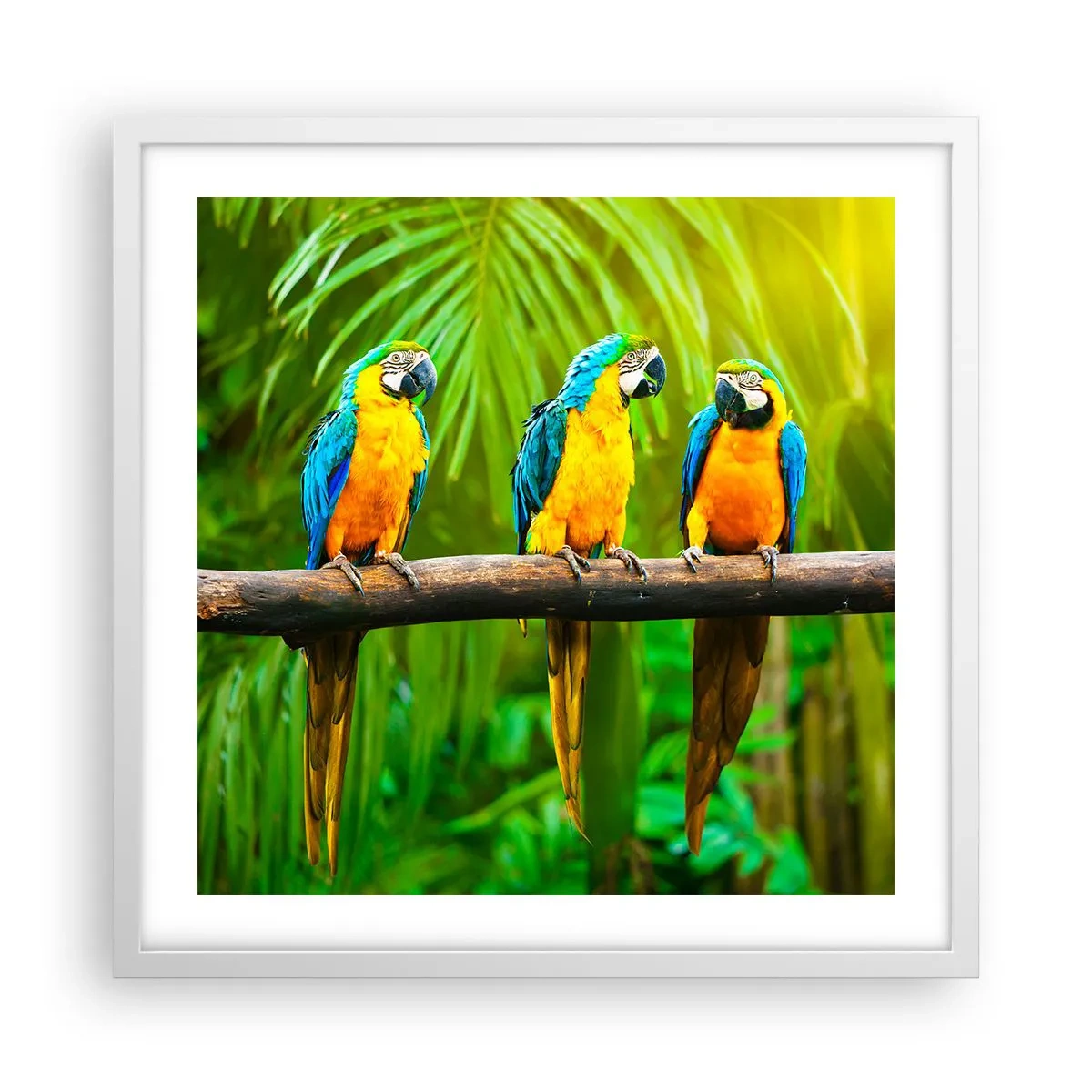 Poster in einem weißen Rahmen - Und hast du gehört, dass sie ...? - 50x50 cm