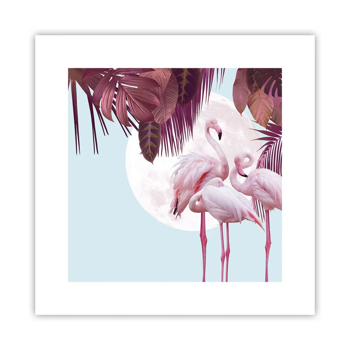 Poster - Drei Vogelgnaden - 30x30 cm