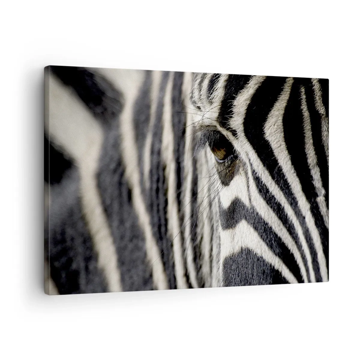Bild auf Leinwand - Leinwandbild - Nahaufnahme eines Zebraauges mit schwarzen und weißen Streifen - 70x50cm - Gestreiftes Porträt - Moderne Wanddekoration für Wohnzimmer und Schlafzimmer ARTTOR
