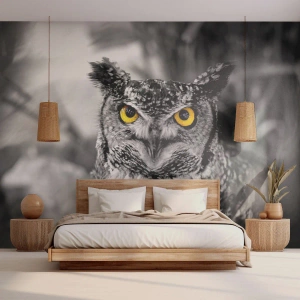 Fototapete Standard Eco - Nichts wird sich verstecken - Vögel, Eule, Natur - 200x140 cm