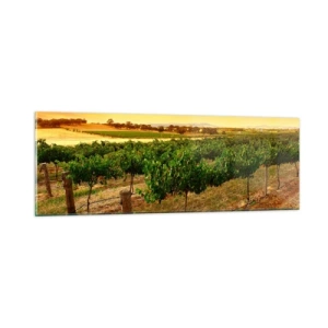 Glasbild - Bild auf glas - Holen Sie sich einen Drink von der Sonne - 90x30 cm