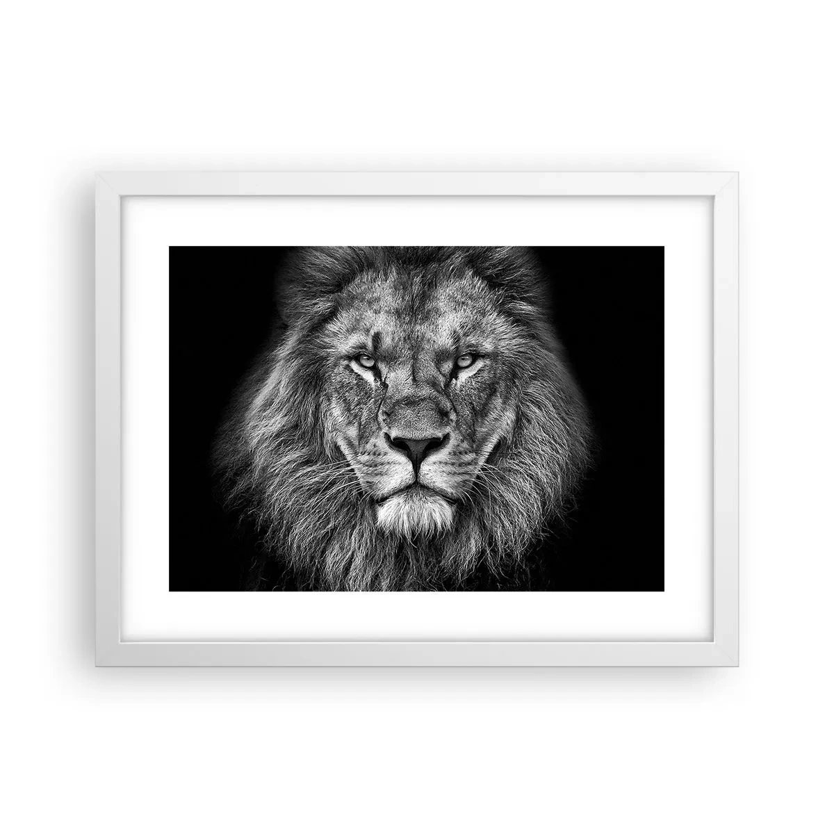 Poster in einem weißen Rahmen - Im Krönungsgewand - 40x30 cm