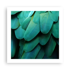 Poster - Papageienartige Präzision - 50x50 cm