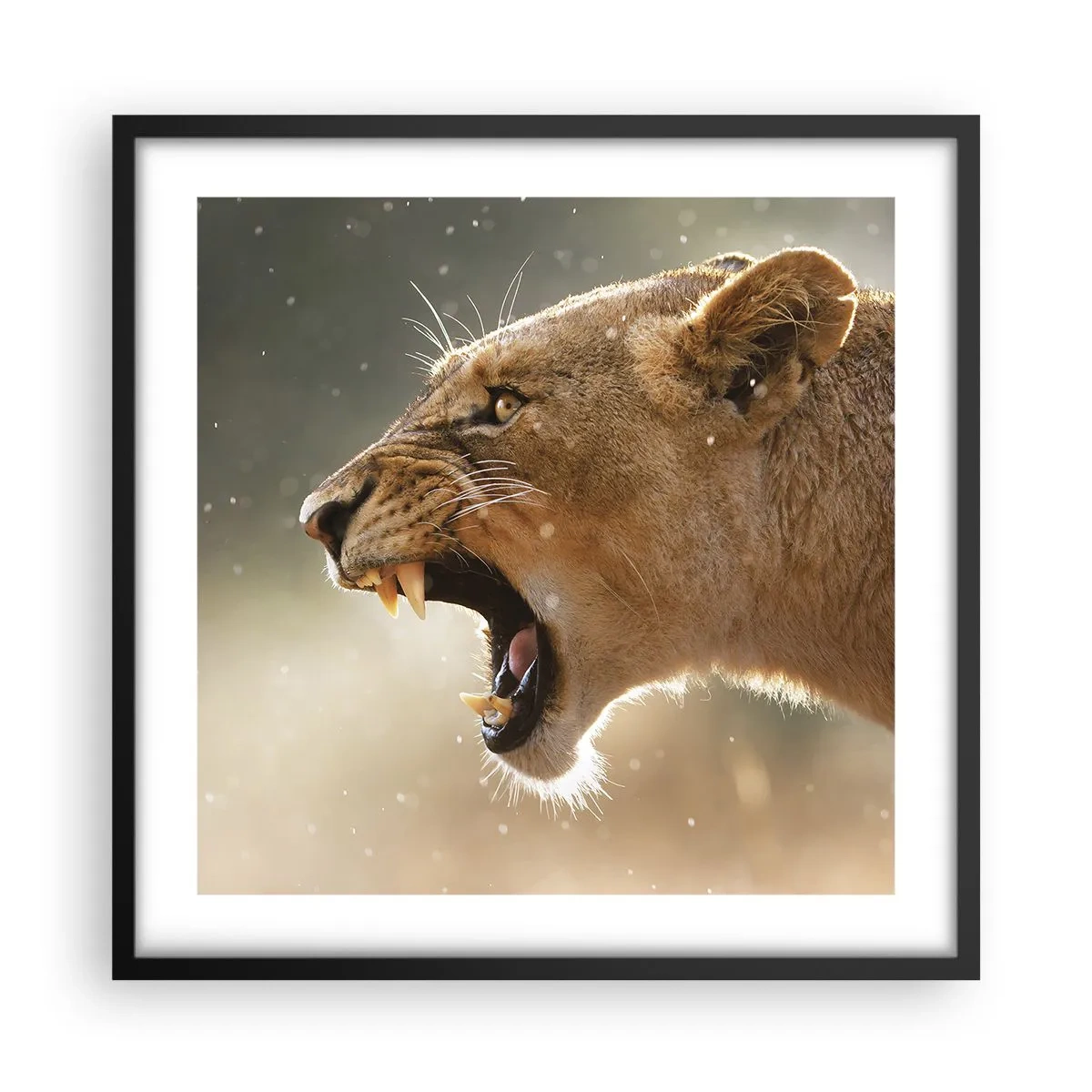 Poster in einem schwarzem Rahmen - Versuch, nicht zuzuhören - 50x50 cm