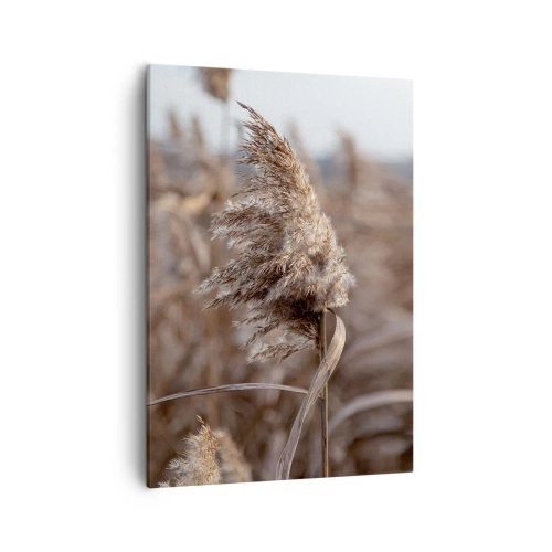 Bild auf Leinwand - Leinwandbild - Zarte Gräser in Beigetönen vor dem Hintergrund der Natur - 50x70cm - Zeit, mit dem Wind zu gehen - Moderne Wanddekoration für Wohnzimmer und Schlafzimmer ARTTOR