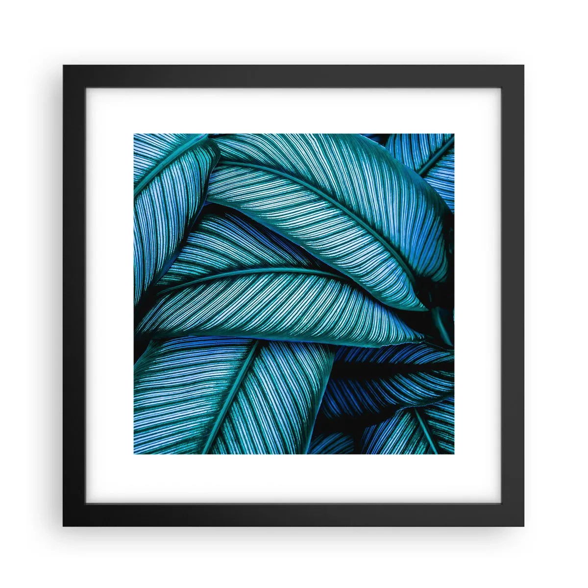 Poster in einem schwarzem Rahmen - Lebenslinien - 30x30 cm