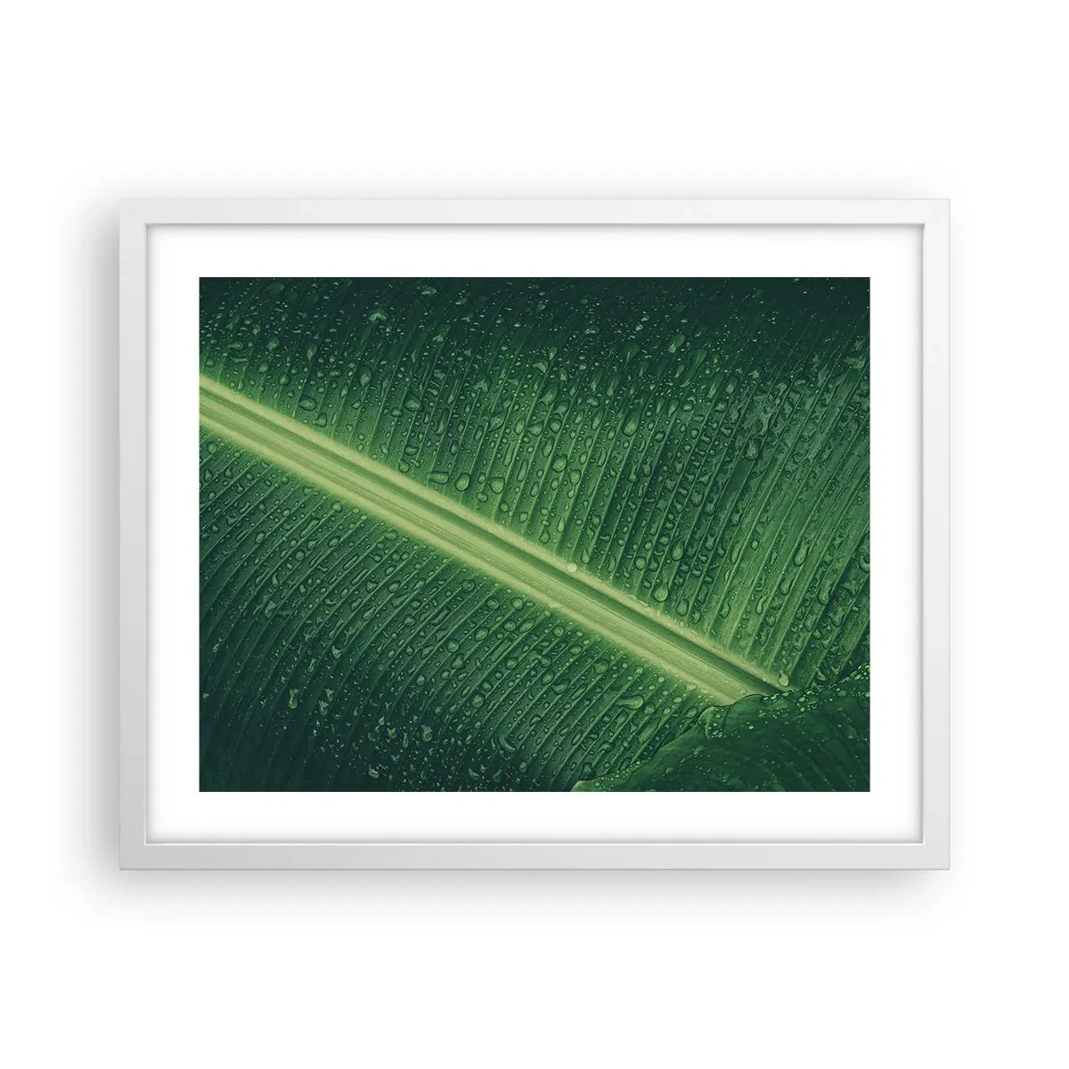 Poster in einem weißen Rahmen - Die Struktur des Grüns - 50x40 cm