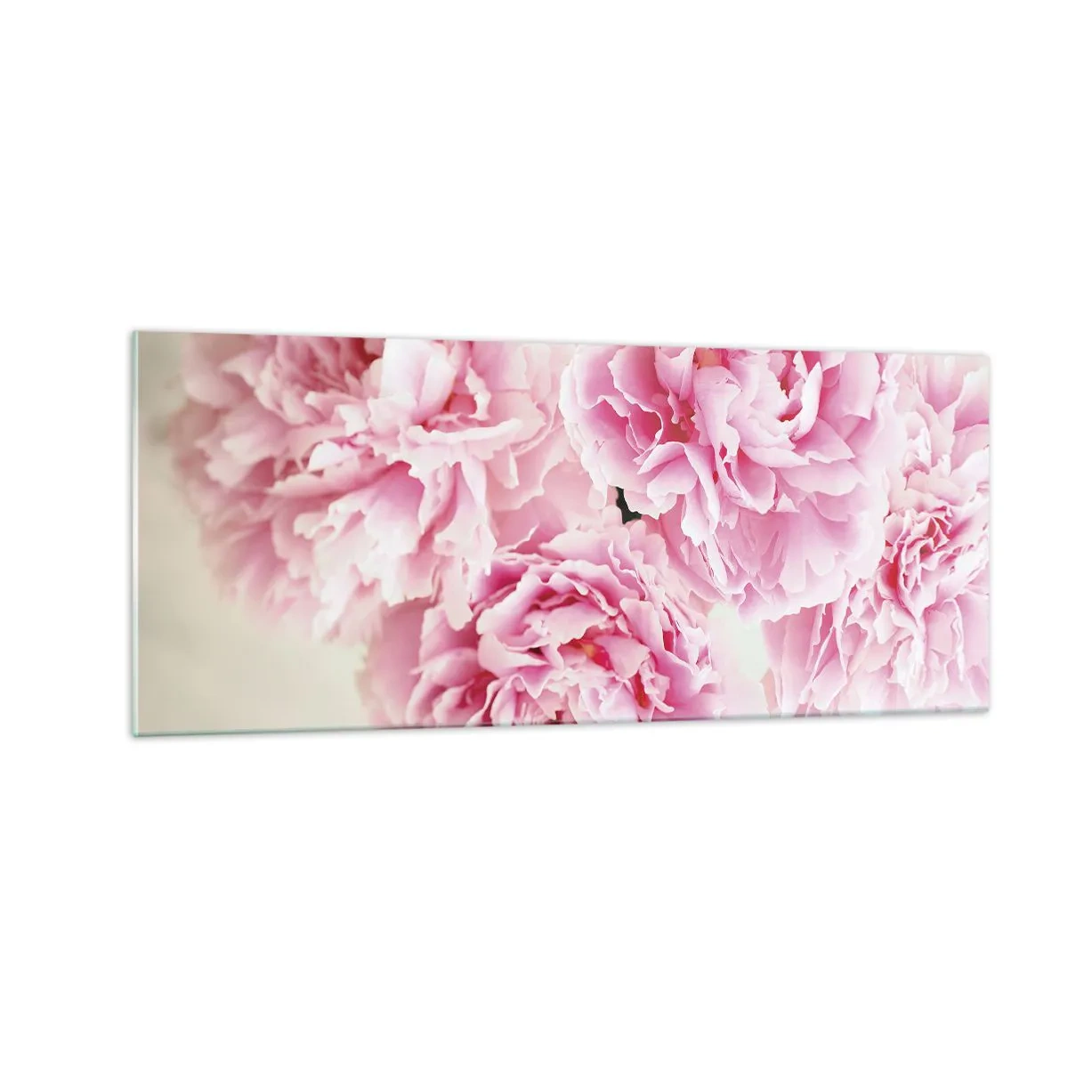 Glasbild - Bild auf glas - In rosa Glamour - 100x40 cm