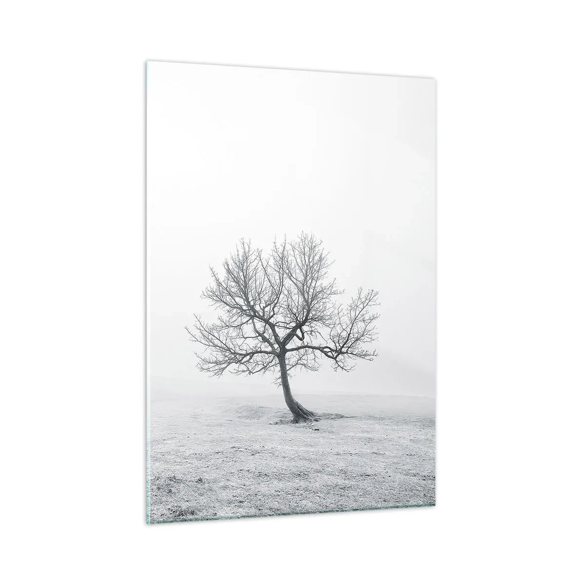Glasbild - Bild auf glas - Ein einsamer Baum vor dem Nebel in einer monochromen Komposition - 50x70cm - Gegen das Nichts - Moderne Wanddekoration für Wohnzimmer und Schlafzimmer ARTTOR