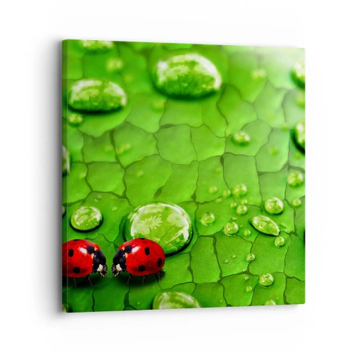 Bild auf Leinwand - Leinwandbild - Treffen im Grünen - 30x30 cm