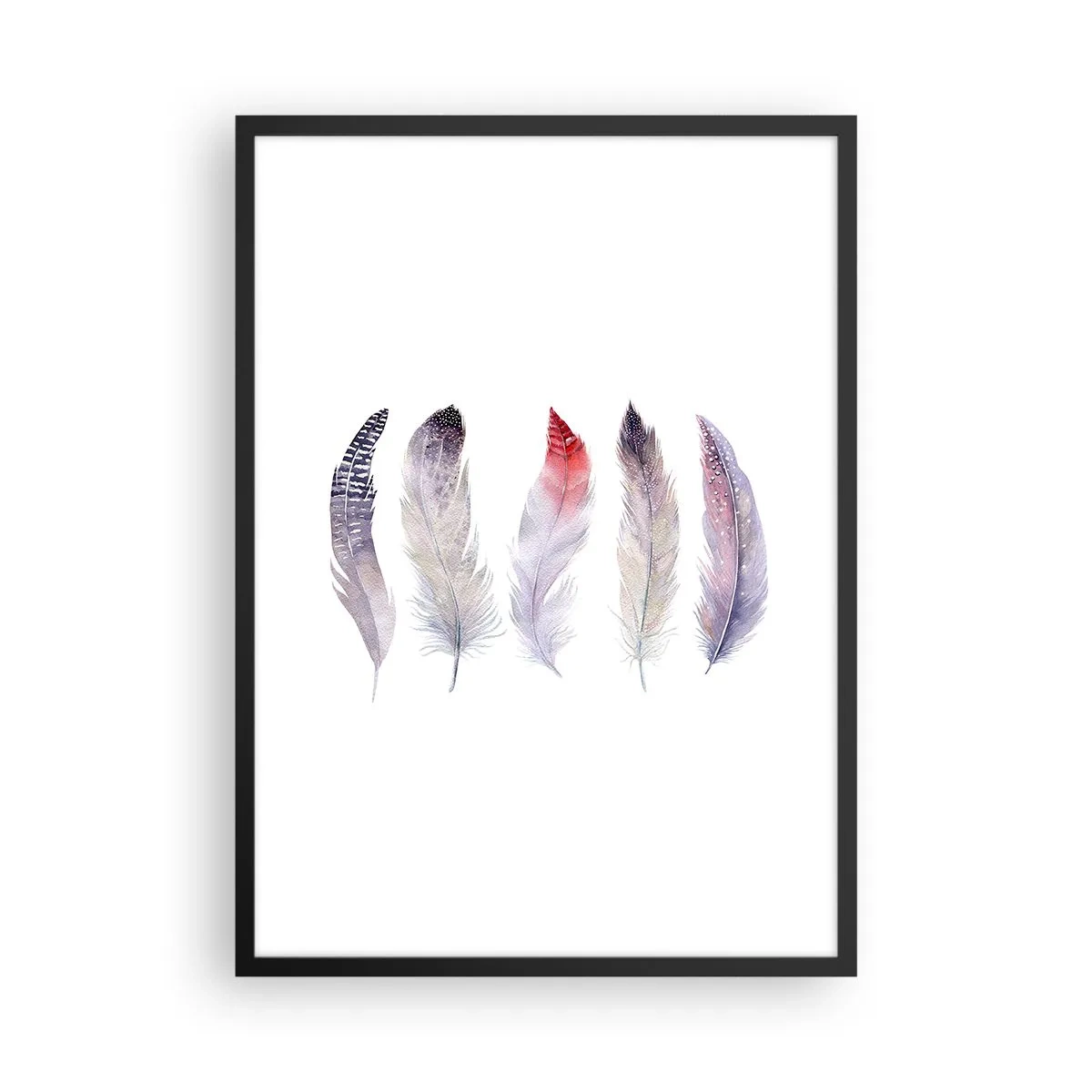 Poster in einem schwarzem Rahmen - Bunte Federn auf weißem Hintergrund in einem zarten Stil - 50x70cm - Zart wie mehrfarbiger Nebel - Moderne Wanddekoration für Wohnzimmer und Schlafzimmer ARTTOR
