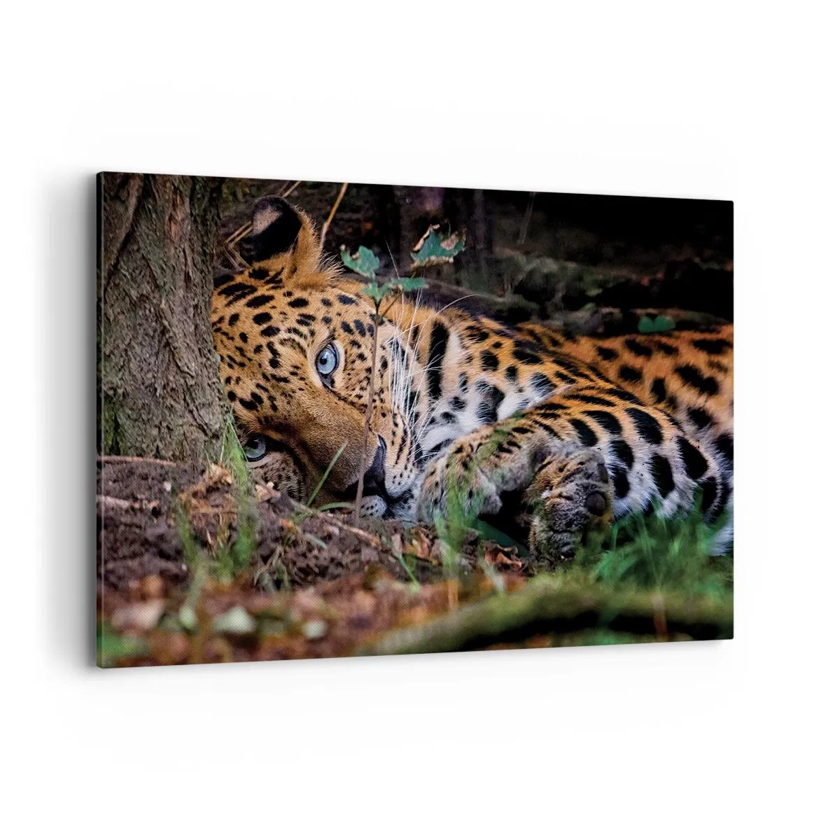 Bild auf Leinwand - Leinwandbild - Ein Leopard, der im Schatten der Bäume liegt - 120x80cm - Vertrau mir - Moderne Wanddekoration für Wohnzimmer und Schlafzimmer ARTTOR